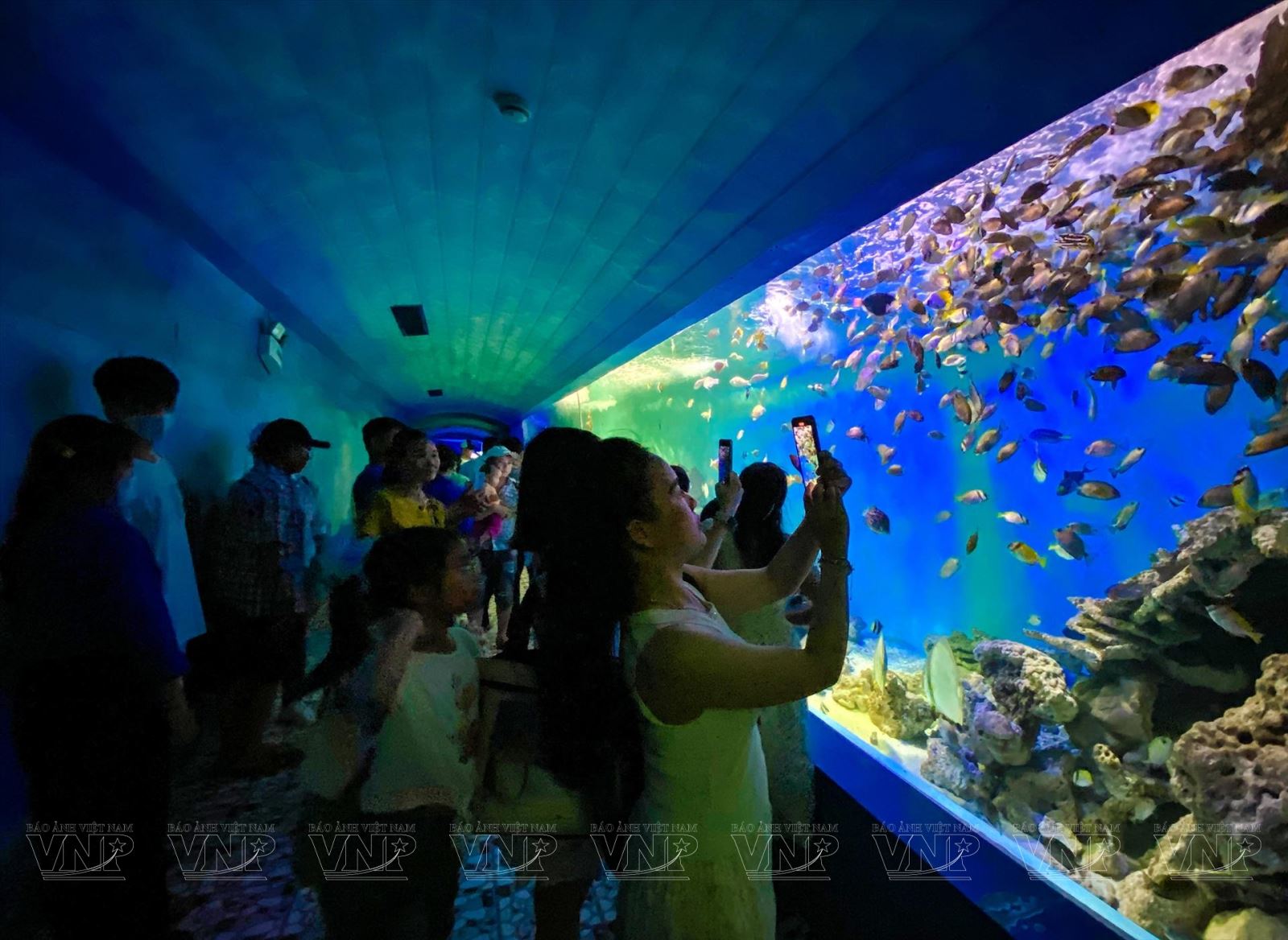 Viện hải dương học Nha Trang